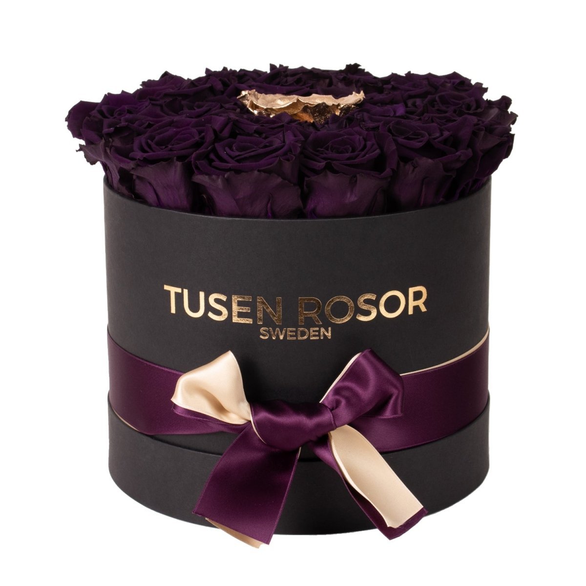 Lila rosor & 24k guld evighetsrosor | Classic box