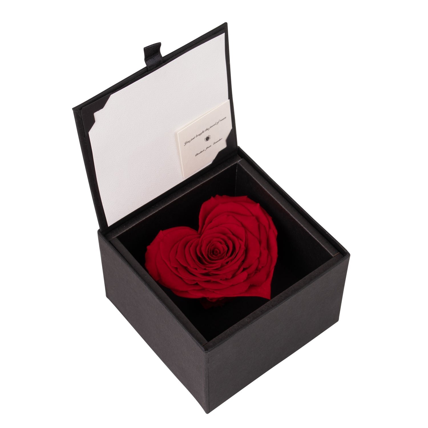 Röd evighetsros i ask