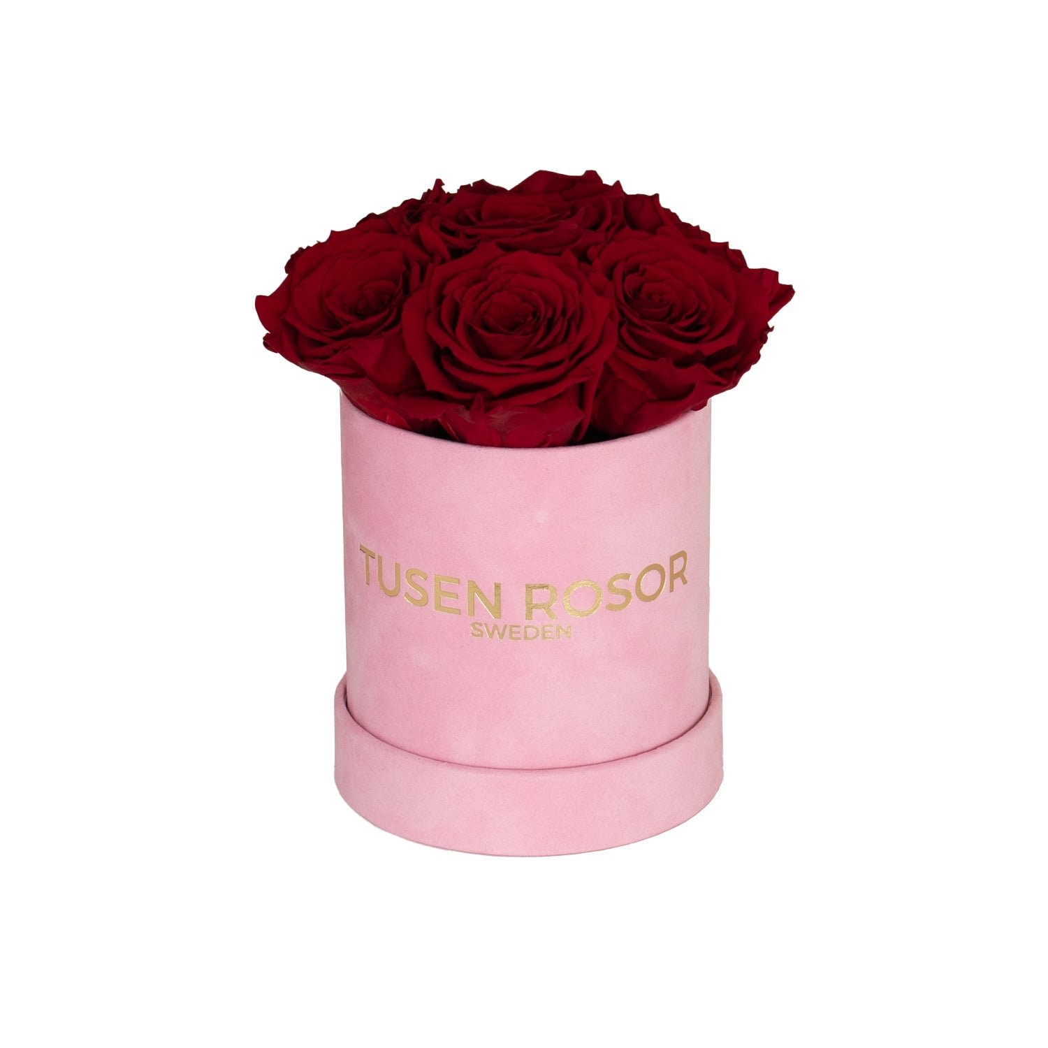 Röda evighetsrosor | Basic dome