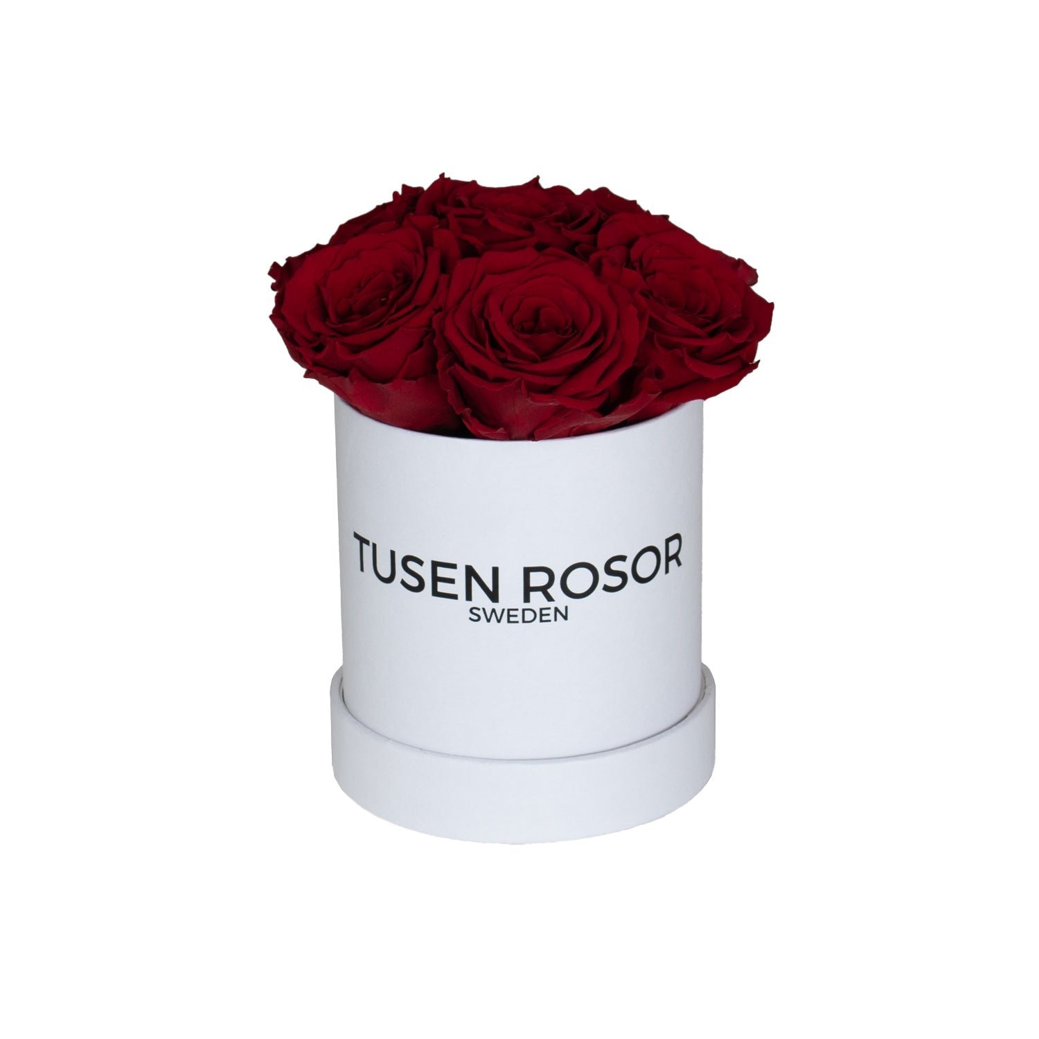 Röda evighetsrosor | Basic dome