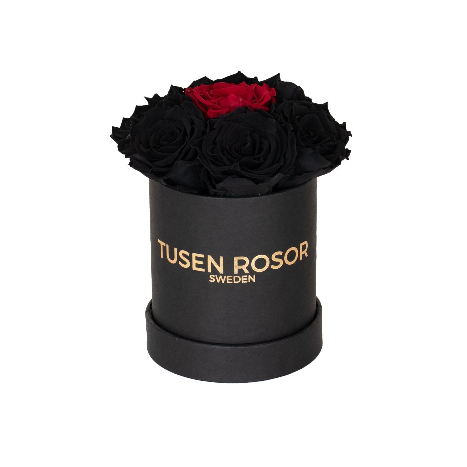 Svarta evighetsrosor | Basic dome