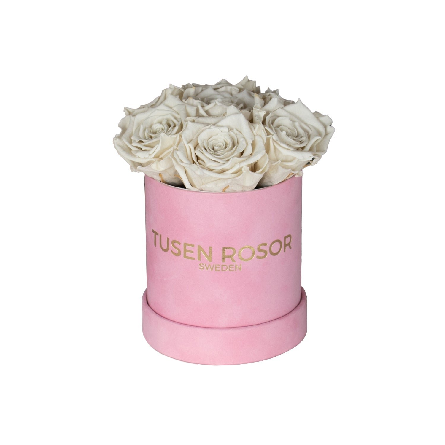 Vita evighetsrosor | Basic dome