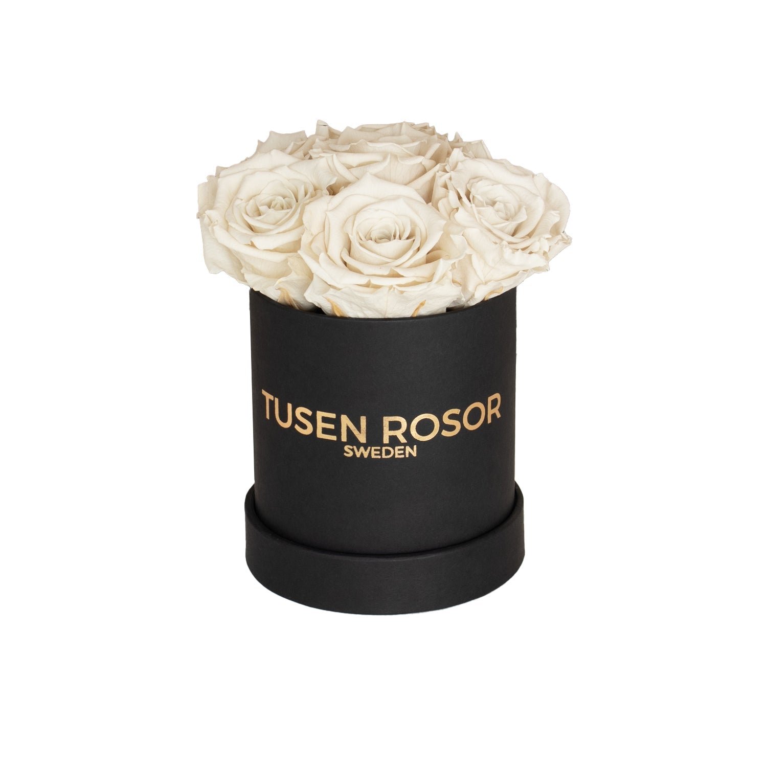 Vita evighetsrosor | Basic dome