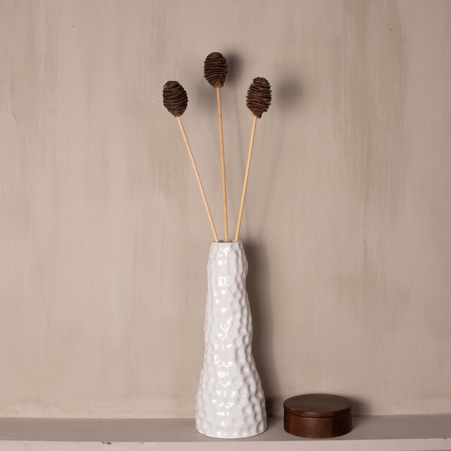 Torkad Honungsblomma