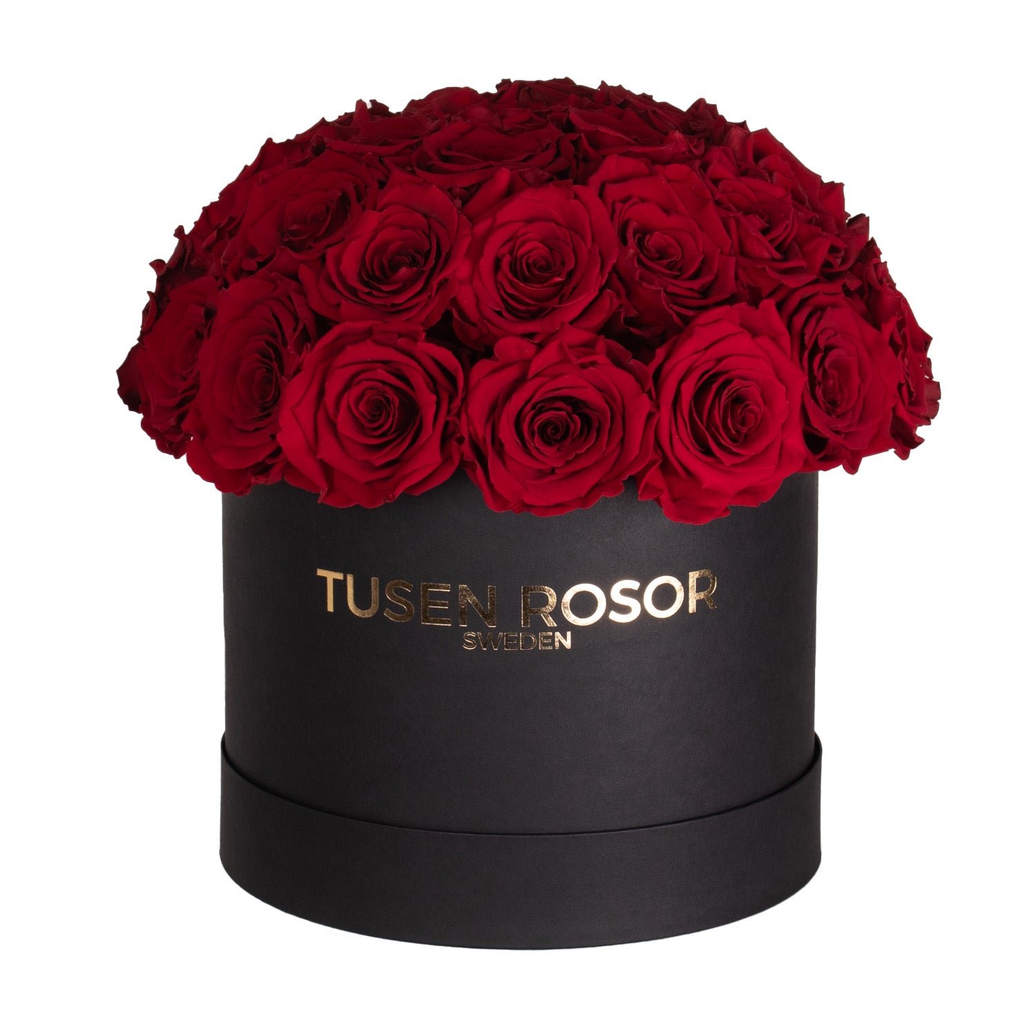 Röda evighetsrosor | Super dome